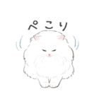 うちの子白猫！(長毛)（個別スタンプ：7）