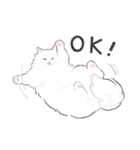 うちの子白猫！(長毛)（個別スタンプ：8）