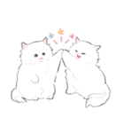 うちの子白猫！(長毛)（個別スタンプ：10）