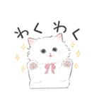 うちの子白猫！(長毛)（個別スタンプ：11）