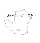 うちの子白猫！(長毛)（個別スタンプ：13）