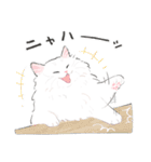 うちの子白猫！(長毛)（個別スタンプ：15）