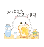 うちの子白猫！(長毛)（個別スタンプ：17）