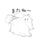うちの子白猫！(長毛)（個別スタンプ：19）