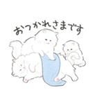 うちの子白猫！(長毛)（個別スタンプ：20）