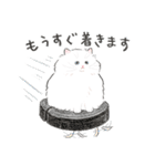 うちの子白猫！(長毛)（個別スタンプ：22）