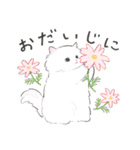 うちの子白猫！(長毛)（個別スタンプ：24）