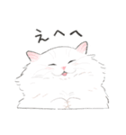 うちの子白猫！(長毛)（個別スタンプ：27）