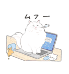 うちの子白猫！(長毛)（個別スタンプ：28）