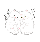 うちの子白猫！(長毛)（個別スタンプ：30）