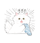 うちの子白猫！(長毛)（個別スタンプ：31）