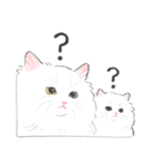 うちの子白猫！(長毛)（個別スタンプ：32）