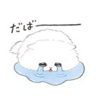 うちの子白猫！(長毛)（個別スタンプ：38）