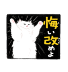 うちの子白猫！(長毛)（個別スタンプ：40）