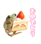 イエアメガル無双（個別スタンプ：5）