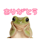 イエアメガル無双（個別スタンプ：8）