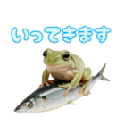 イエアメガル無双（個別スタンプ：12）