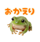 イエアメガル無双（個別スタンプ：16）