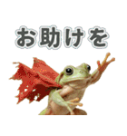 イエアメガル無双（個別スタンプ：19）