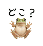イエアメガル無双（個別スタンプ：25）