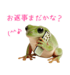イエアメガル無双（個別スタンプ：31）