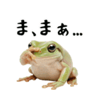 イエアメガル無双（個別スタンプ：32）