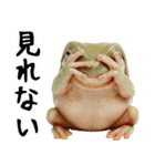 イエアメガル無双（個別スタンプ：33）
