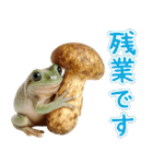 イエアメガル無双（個別スタンプ：35）