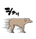 しゃべるモンゴルの犬（個別スタンプ：3）