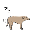 しゃべるモンゴルの犬（個別スタンプ：5）