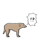 しゃべるモンゴルの犬（個別スタンプ：8）