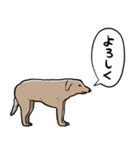 しゃべるモンゴルの犬（個別スタンプ：9）