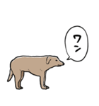 しゃべるモンゴルの犬（個別スタンプ：11）