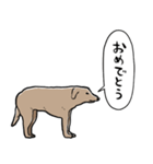 しゃべるモンゴルの犬（個別スタンプ：15）