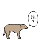 しゃべるモンゴルの犬（個別スタンプ：24）