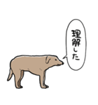 しゃべるモンゴルの犬（個別スタンプ：28）