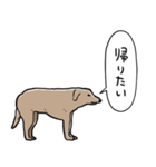 しゃべるモンゴルの犬（個別スタンプ：29）