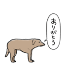 しゃべるモンゴルの犬（個別スタンプ：30）