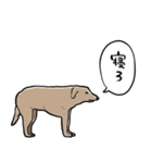 しゃべるモンゴルの犬（個別スタンプ：31）
