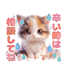 三毛猫のネガティブスタンプ✩.*˚（個別スタンプ：11）
