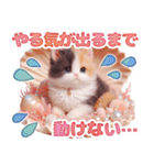 三毛猫のネガティブスタンプ✩.*˚（個別スタンプ：38）