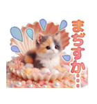 三毛猫のネガティブスタンプ✩.*˚（個別スタンプ：39）