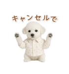 ネガティブな癒しトイプードル白（個別スタンプ：3）