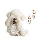 ネガティブな癒しトイプードル白（個別スタンプ：7）