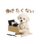 ネガティブな癒しトイプードル白（個別スタンプ：10）