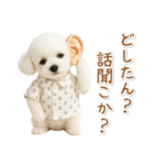 ネガティブな癒しトイプードル白（個別スタンプ：16）