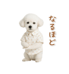 ネガティブな癒しトイプードル白（個別スタンプ：17）