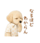 ネガティブな癒しトイプードル白（個別スタンプ：19）