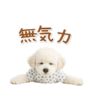 ネガティブな癒しトイプードル白（個別スタンプ：23）