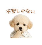ネガティブな癒しトイプードル白（個別スタンプ：24）